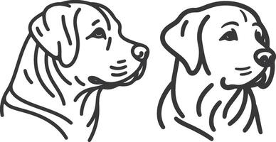 Labrador line art, Labrador line drawing, Labrador outline drawing,Labrador illustrations vector