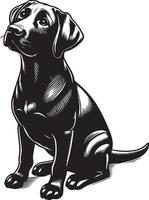 labrador retriever dog silhouette design,isolated on white background. vector