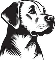 labrador retriever dog silhouette design,isolated on white background. vector