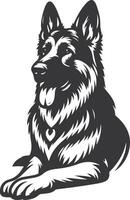 German shepherd dog in different poses on a white background objects silhouette illustration. vector