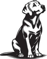 labrador retriever dog silhouette design,isolated on white background. vector