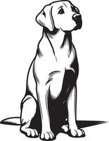 labrador retriever dog silhouette design,isolated on white background. vector