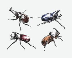 Set of engrave rhinoceros beetle. Different pose, action. Isolated on white background. Colorful illustration. vector