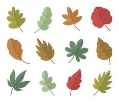 Set of colorful leaves isolated on white background vector
