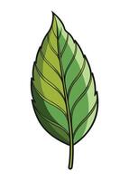 art of Leaf drawing Abstract minimal flat art vector