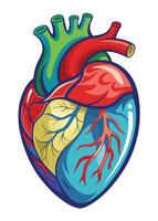 art of Human heart drawing Abstract minimal flat art vector