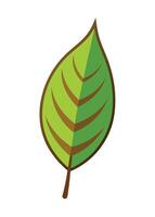 art of Leaf drawing Abstract minimal flat art vector