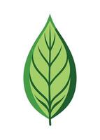 art of Leaf drawing Abstract minimal flat art vector