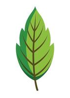 art of Leaf drawing Abstract minimal flat art vector
