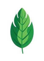art of Leaf drawing Abstract minimal flat art vector
