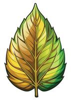 art of Leaf drawing Abstract minimal flat art vector