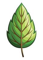 art of Leaf drawing Abstract minimal flat art vector