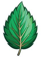 art of Leaf drawing Abstract minimal flat art vector