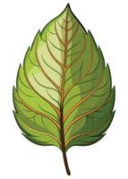 art of Leaf drawing Abstract minimal flat art vector