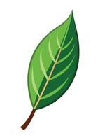 art of Leaf drawing Abstract minimal flat art vector