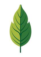 art of Leaf drawing Abstract minimal flat art vector