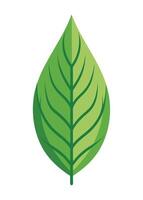 art of Leaf drawing Abstract minimal flat art vector