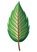 art of Leaf drawing Abstract minimal flat art vector