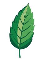 art of Leaf drawing Abstract minimal flat art vector