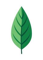 art of Leaf drawing Abstract minimal flat art vector