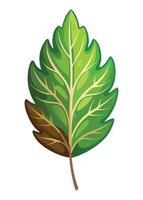 art of Leaf drawing Abstract minimal flat art vector