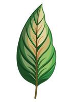 art of Leaf drawing Abstract minimal flat art vector