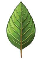 art of Leaf drawing Abstract minimal flat art vector