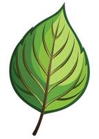 art of Leaf drawing Abstract minimal flat art vector