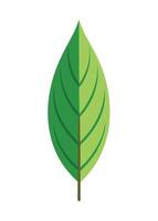 art of Leaf drawing Abstract minimal flat art vector