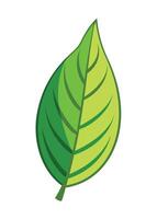 art of Leaf drawing Abstract minimal flat art vector