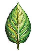 art of Leaf drawing Abstract minimal flat art vector