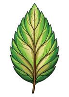 art of Leaf drawing Abstract minimal flat art vector