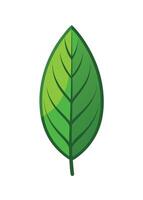 art of Leaf drawing Abstract minimal flat art vector