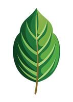 art of Leaf drawing Abstract minimal flat art vector