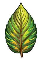 art of Leaf drawing Abstract minimal flat art vector