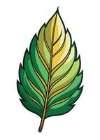 art of Leaf drawing Abstract minimal flat art vector