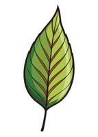 art of Leaf drawing Abstract minimal flat art vector