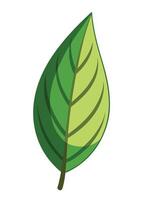 art of Leaf drawing Abstract minimal flat art vector