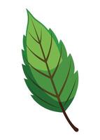 art of Leaf drawing Abstract minimal flat art vector