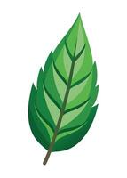 art of Leaf drawing Abstract minimal flat art vector