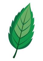 art of Leaf drawing Abstract minimal flat art vector