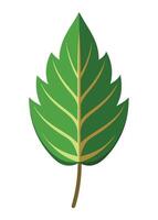 art of Leaf drawing Abstract minimal flat art vector