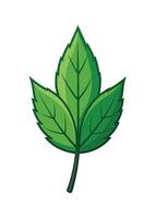 art of Leaf drawing Abstract minimal flat art vector