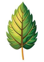 art of Leaf drawing Abstract minimal flat art vector