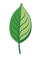 art of Leaf drawing Abstract minimal flat art vector