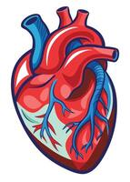 art of Human heart drawing Abstract minimal flat art vector