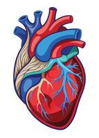 art of Human heart drawing Abstract minimal flat art vector
