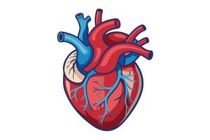 art of Human heart drawing Abstract minimal flat art vector