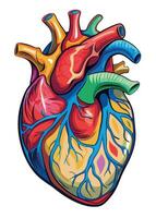 art of Human heart drawing Abstract minimal flat art vector