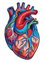 art of Human heart drawing Abstract minimal flat art vector